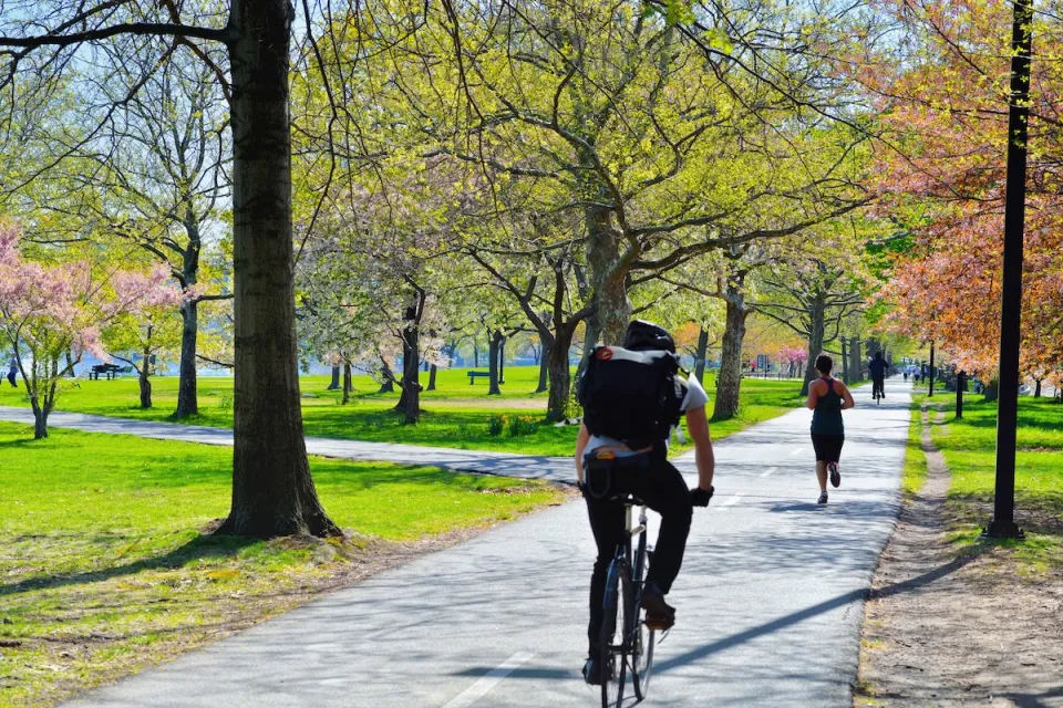 Cyclist and runner on paved bike and pedestrian path in a park in Boston with fall colors on trees.